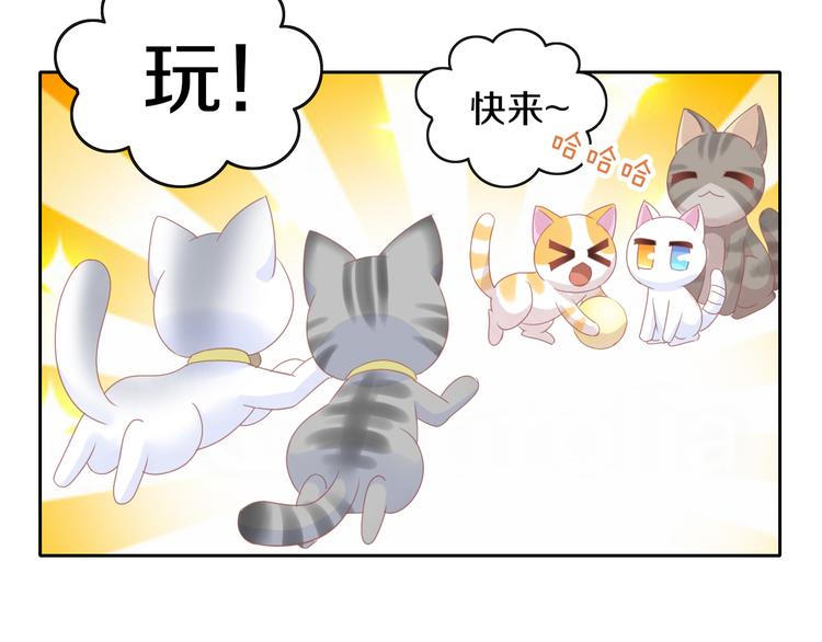 《猫爪之下》漫画最新章节第173话 全员外宿免费下拉式在线观看章节第【51】张图片