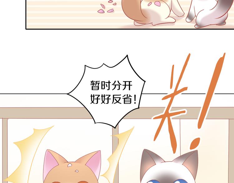 《猫爪之下》漫画最新章节第173话 全员外宿免费下拉式在线观看章节第【85】张图片