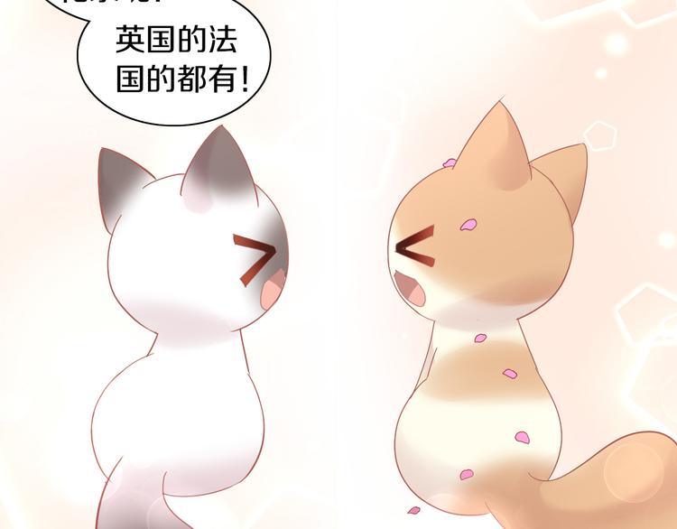 《猫爪之下》漫画最新章节第173话 全员外宿免费下拉式在线观看章节第【88】张图片