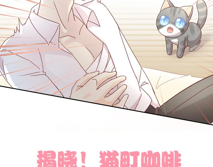 《猫爪之下》漫画最新章节第173话 全员外宿免费下拉式在线观看章节第【96】张图片