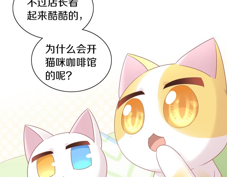 《猫爪之下》漫画最新章节第174话 店长的坚持免费下拉式在线观看章节第【22】张图片