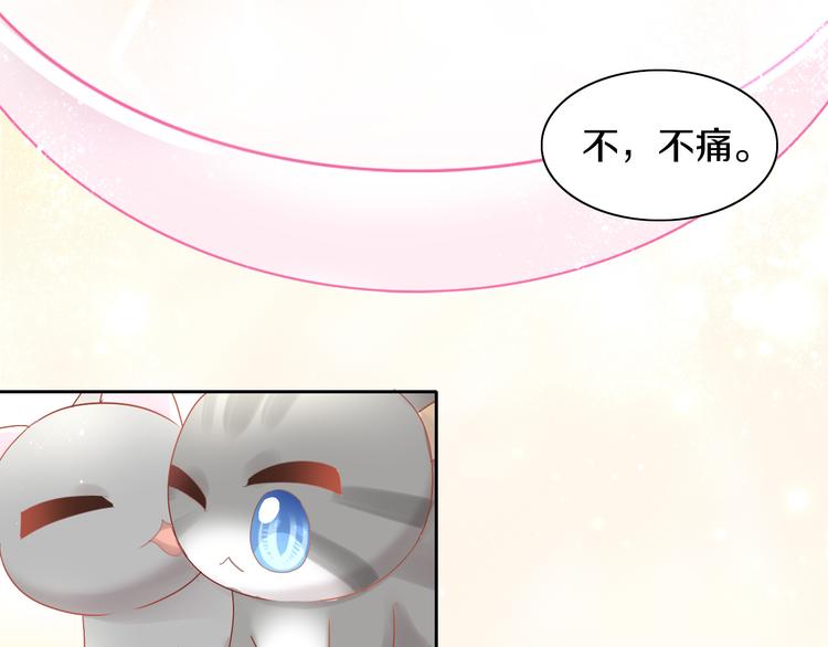 《猫爪之下》漫画最新章节第174话 店长的坚持免费下拉式在线观看章节第【36】张图片