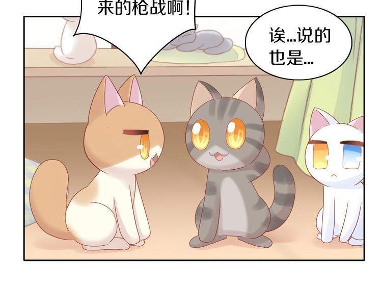 《猫爪之下》漫画最新章节第174话 店长的坚持免费下拉式在线观看章节第【58】张图片