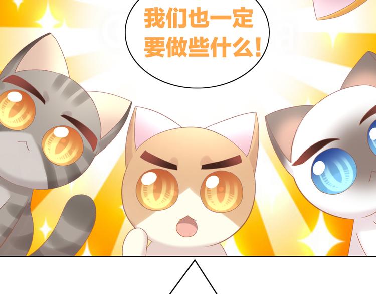 《猫爪之下》漫画最新章节第174话 店长的坚持免费下拉式在线观看章节第【77】张图片