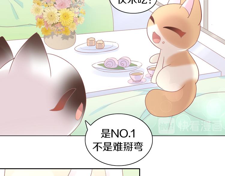 《猫爪之下》漫画最新章节第174话 店长的坚持免费下拉式在线观看章节第【9】张图片