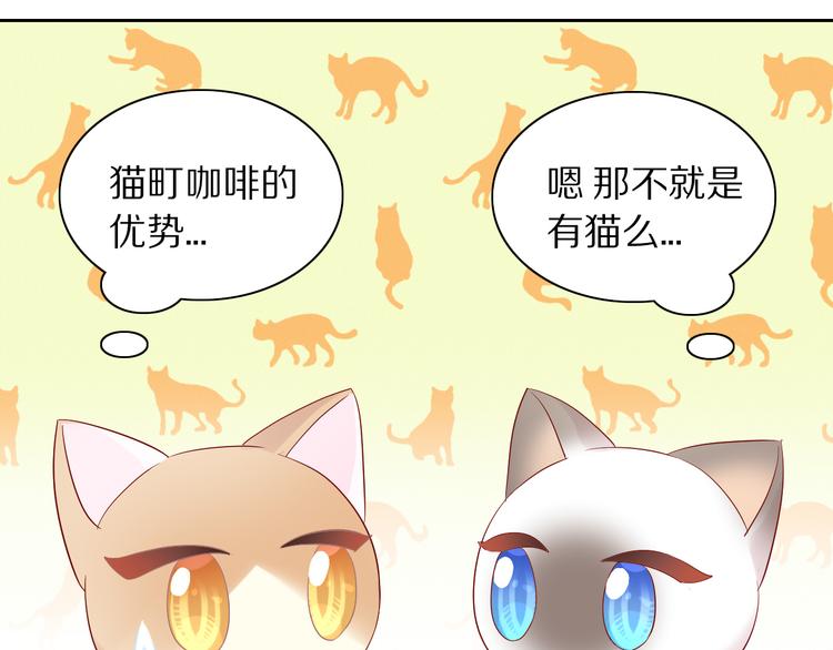 《猫爪之下》漫画最新章节第175话 茶老板的营销学免费下拉式在线观看章节第【54】张图片