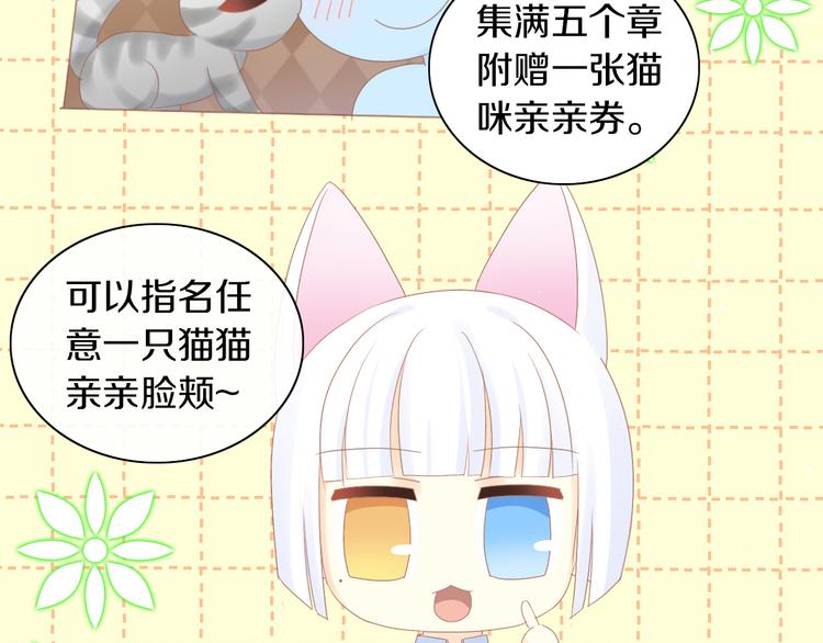 《猫爪之下》漫画最新章节第175话 茶老板的营销学免费下拉式在线观看章节第【84】张图片