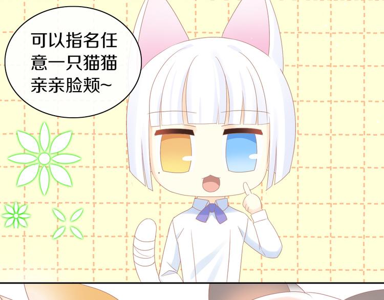 《猫爪之下》漫画最新章节第176话 齐心协力免费下拉式在线观看章节第【31】张图片