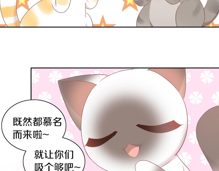 《猫爪之下》漫画最新章节第178话 爆火视频免费下拉式在线观看章节第【26】张图片