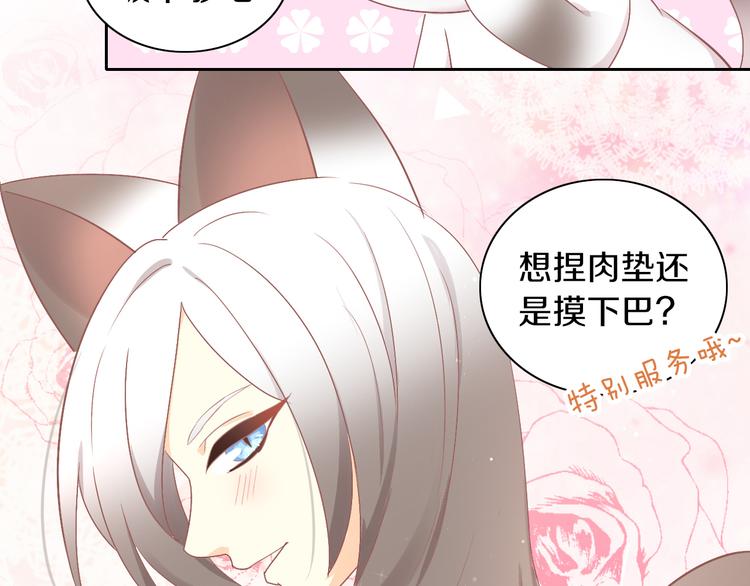 《猫爪之下》漫画最新章节第178话 爆火视频免费下拉式在线观看章节第【27】张图片