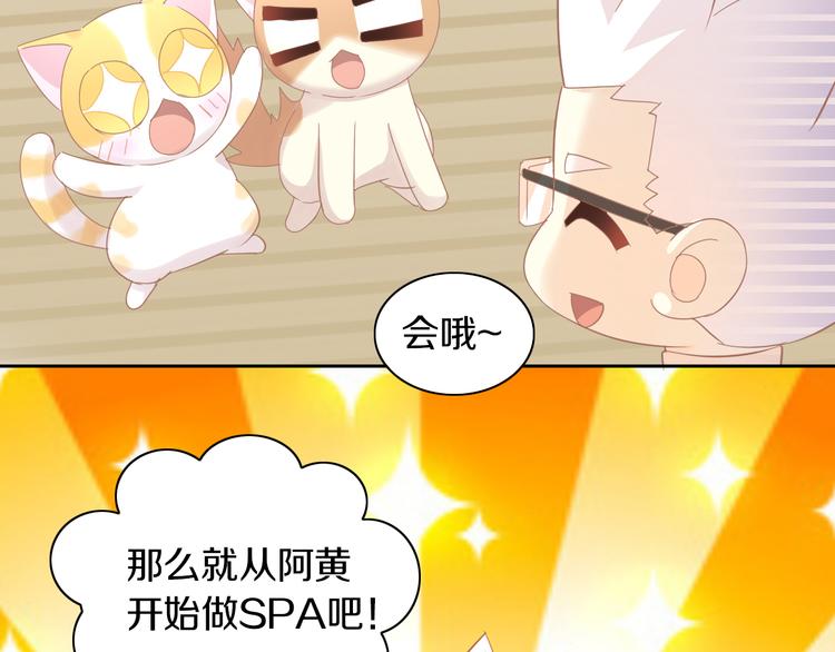 《猫爪之下》漫画最新章节第179话 SPA免费下拉式在线观看章节第【36】张图片