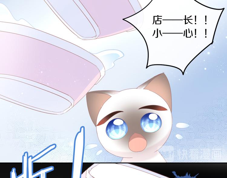 《猫爪之下》漫画最新章节第179话 SPA免费下拉式在线观看章节第【64】张图片