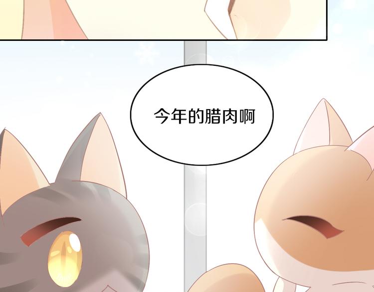 《猫爪之下》漫画最新章节第182话 家乡的味道免费下拉式在线观看章节第【70】张图片