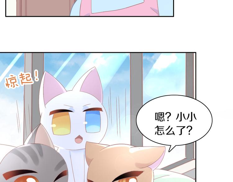 《猫爪之下》漫画最新章节第183话  恼人的耳螨免费下拉式在线观看章节第【19】张图片