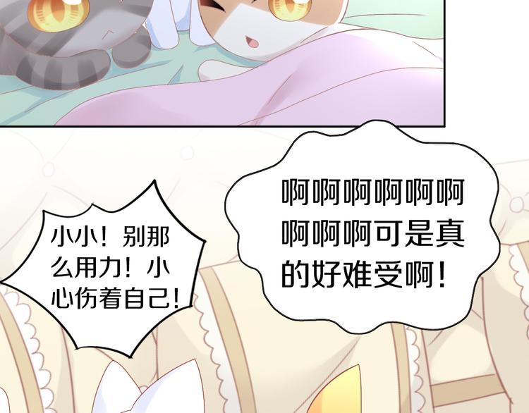 《猫爪之下》漫画最新章节第183话  恼人的耳螨免费下拉式在线观看章节第【20】张图片