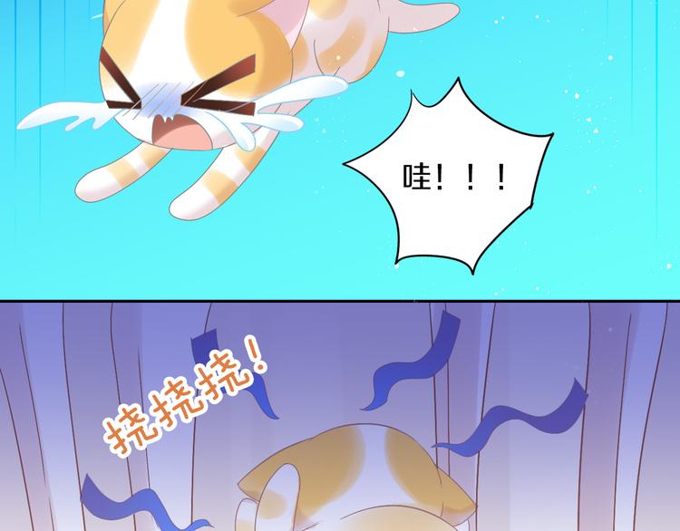 《猫爪之下》漫画最新章节第183话  恼人的耳螨免费下拉式在线观看章节第【51】张图片