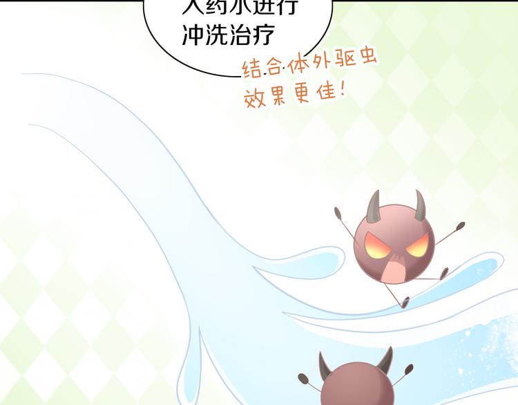 《猫爪之下》漫画最新章节第183话  恼人的耳螨免费下拉式在线观看章节第【57】张图片