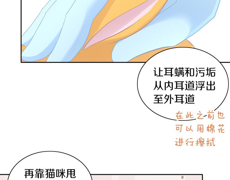 《猫爪之下》漫画最新章节第183话  恼人的耳螨免费下拉式在线观看章节第【59】张图片