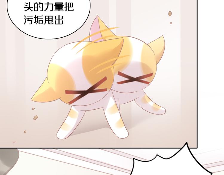 《猫爪之下》漫画最新章节第183话  恼人的耳螨免费下拉式在线观看章节第【60】张图片