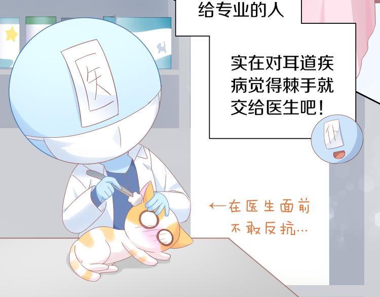 《猫爪之下》漫画最新章节第183话  恼人的耳螨免费下拉式在线观看章节第【76】张图片