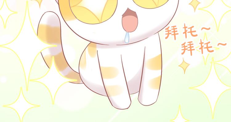 《猫爪之下》漫画最新章节第183话  恼人的耳螨免费下拉式在线观看章节第【87】张图片