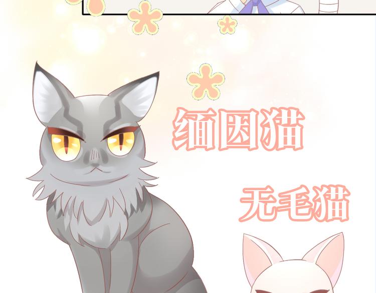 《猫爪之下》漫画最新章节第184话 冬至免费下拉式在线观看章节第【48】张图片