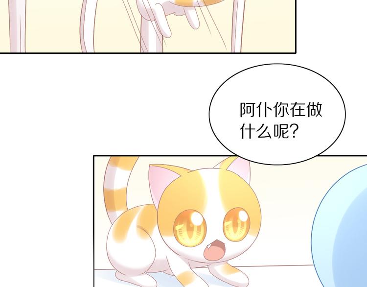 《猫爪之下》漫画最新章节第184话 冬至免费下拉式在线观看章节第【6】张图片