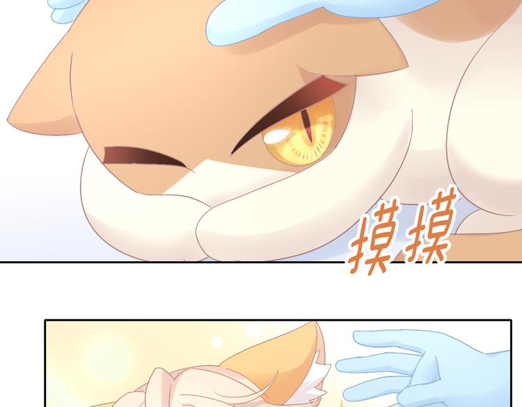 《猫爪之下》漫画最新章节第185话 最初的爱免费下拉式在线观看章节第【63】张图片