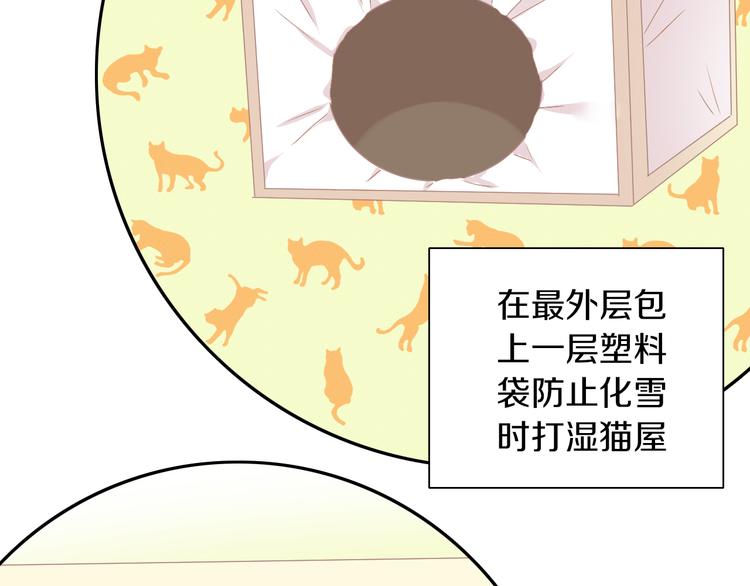 《猫爪之下》漫画最新章节第185话 最初的爱免费下拉式在线观看章节第【68】张图片