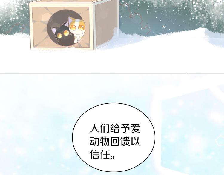 《猫爪之下》漫画最新章节第185话 最初的爱免费下拉式在线观看章节第【72】张图片