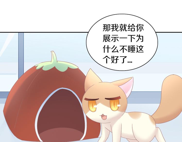 《猫爪之下》漫画最新章节第187话 暖暖的窝免费下拉式在线观看章节第【29】张图片