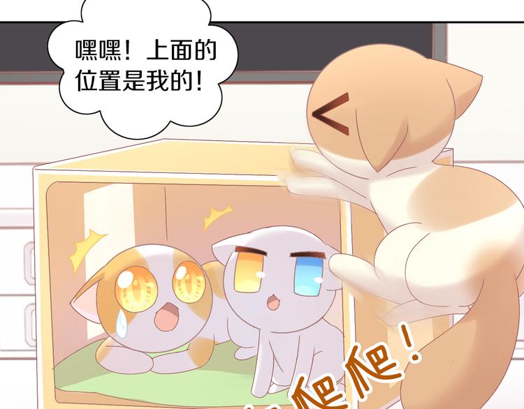 《猫爪之下》漫画最新章节第187话 暖暖的窝免费下拉式在线观看章节第【44】张图片