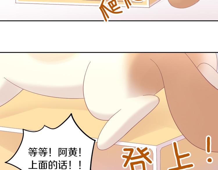 【猫爪之下】漫画-（第187话 暖暖的窝）章节漫画下拉式图片-45.jpg