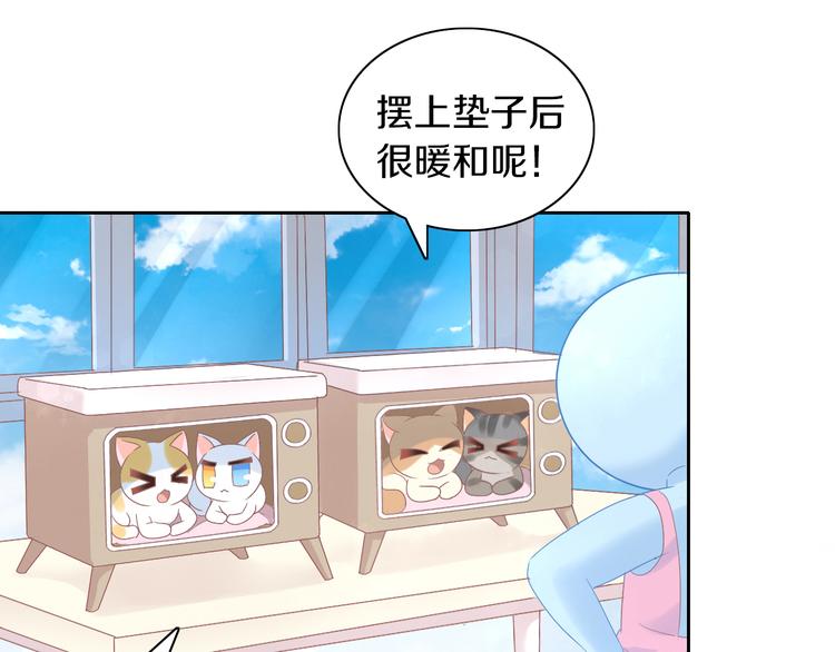 《猫爪之下》漫画最新章节第187话 暖暖的窝免费下拉式在线观看章节第【66】张图片