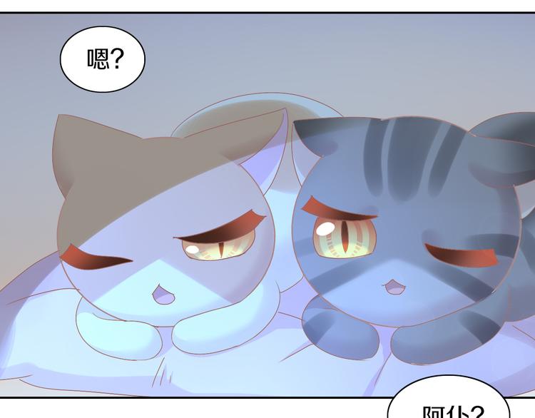 《猫爪之下》漫画最新章节第187话 暖暖的窝免费下拉式在线观看章节第【72】张图片