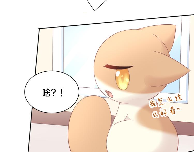 《猫爪之下》漫画最新章节第189话 杂物堆里的它免费下拉式在线观看章节第【25】张图片