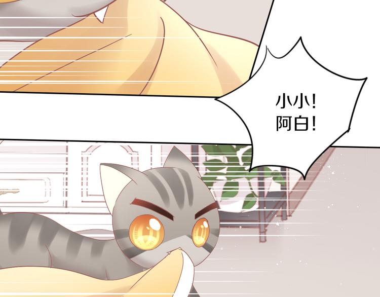 《猫爪之下》漫画最新章节第189话 杂物堆里的它免费下拉式在线观看章节第【35】张图片