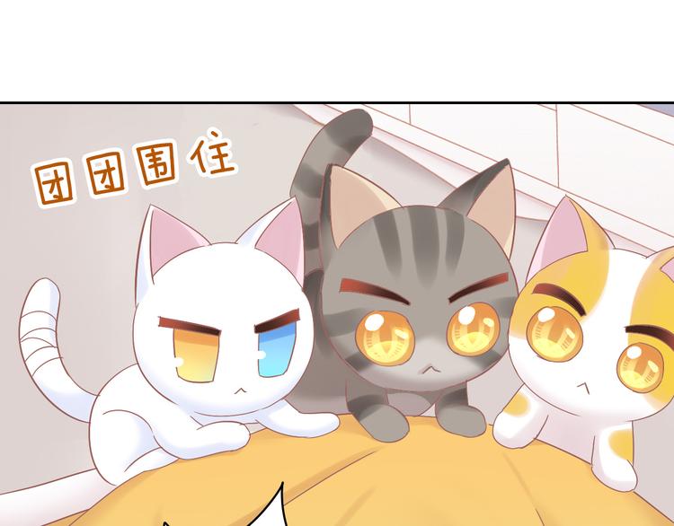 《猫爪之下》漫画最新章节第189话 杂物堆里的它免费下拉式在线观看章节第【42】张图片