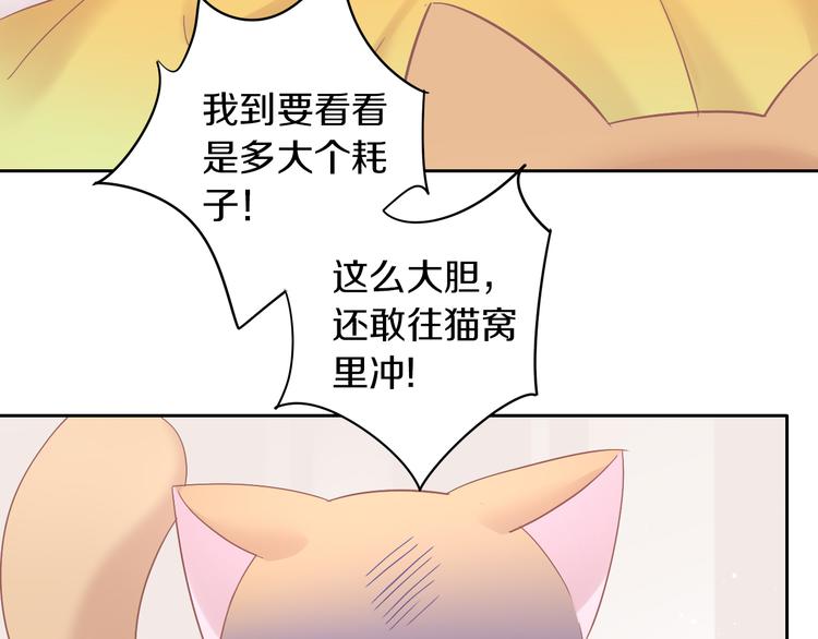 《猫爪之下》漫画最新章节第189话 杂物堆里的它免费下拉式在线观看章节第【43】张图片