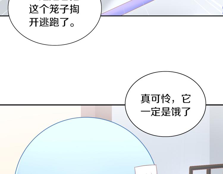 《猫爪之下》漫画最新章节第189话 杂物堆里的它免费下拉式在线观看章节第【61】张图片