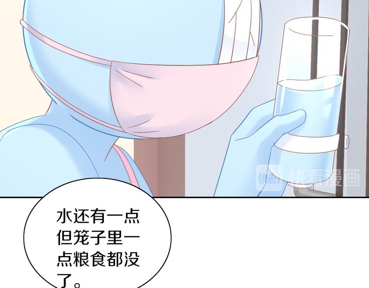 《猫爪之下》漫画最新章节第189话 杂物堆里的它免费下拉式在线观看章节第【62】张图片