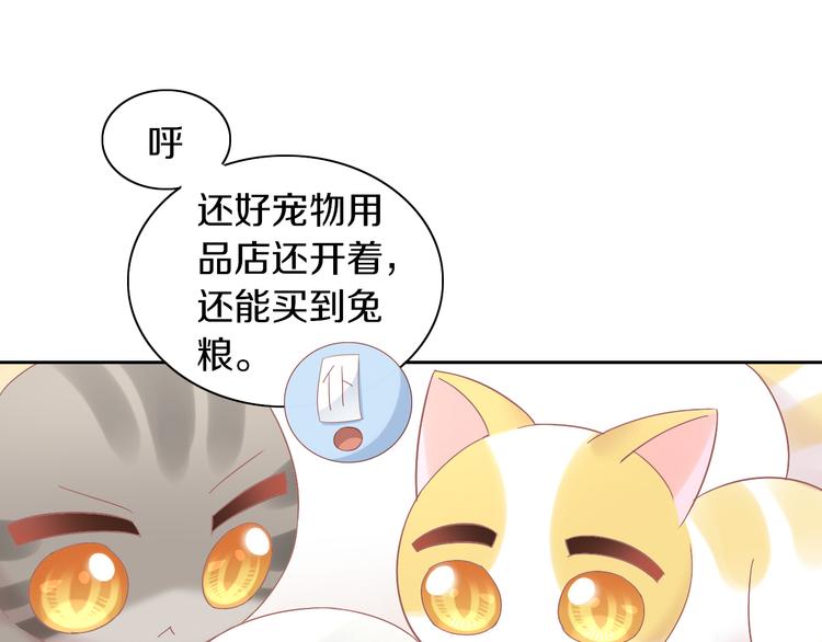 《猫爪之下》漫画最新章节第189话 杂物堆里的它免费下拉式在线观看章节第【70】张图片