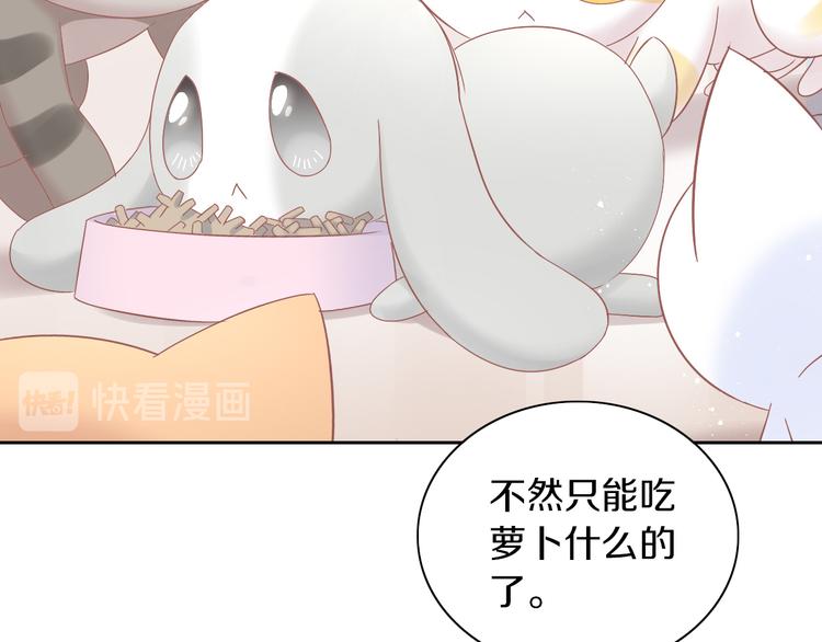 《猫爪之下》漫画最新章节第189话 杂物堆里的它免费下拉式在线观看章节第【71】张图片