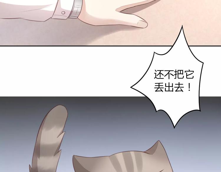 《猫爪之下》漫画最新章节第20话  互相照顾免费下拉式在线观看章节第【52】张图片