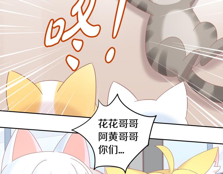 《猫爪之下》漫画最新章节第190话 兔叽的“坏心眼”免费下拉式在线观看章节第【17】张图片