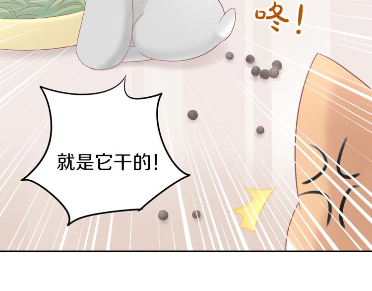 《猫爪之下》漫画最新章节第190话 兔叽的“坏心眼”免费下拉式在线观看章节第【30】张图片