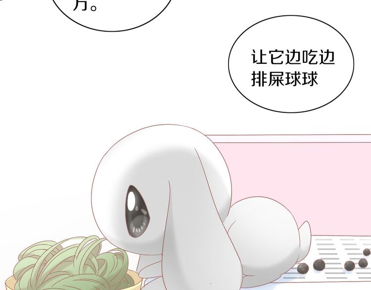 《猫爪之下》漫画最新章节第190话 兔叽的“坏心眼”免费下拉式在线观看章节第【50】张图片