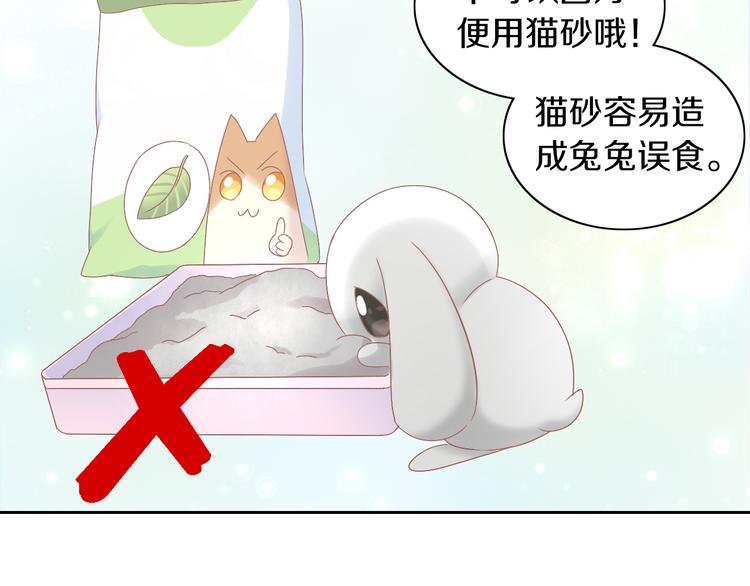 《猫爪之下》漫画最新章节第190话 兔叽的“坏心眼”免费下拉式在线观看章节第【53】张图片