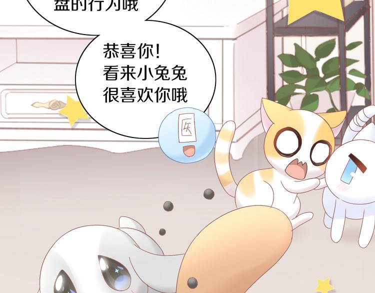 《猫爪之下》漫画最新章节第190话 兔叽的“坏心眼”免费下拉式在线观看章节第【74】张图片