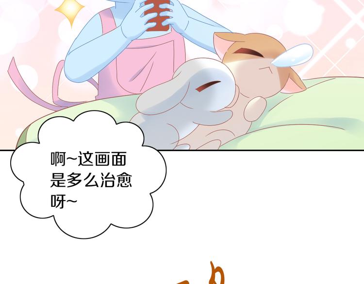 《猫爪之下》漫画最新章节第191话  日天的嫉妒免费下拉式在线观看章节第【11】张图片